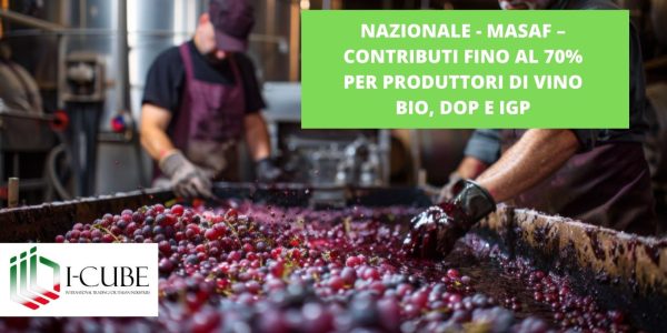 NAZIONALE. MASAF, CONTRIBUTI FINO AL 70% PER PRODUTTORI DI VINO BIO, DOP E IGP